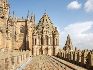 Eski Salamanca Katedrali 'nin Roma Kubbesi, Castilla y Leon, İspanya