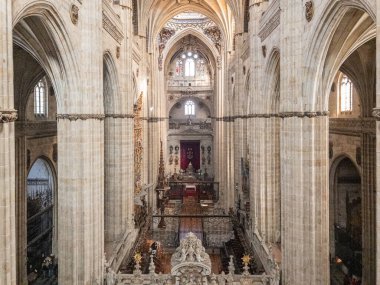 Salamanca Katedrali, Castilla y Leon, İspanya