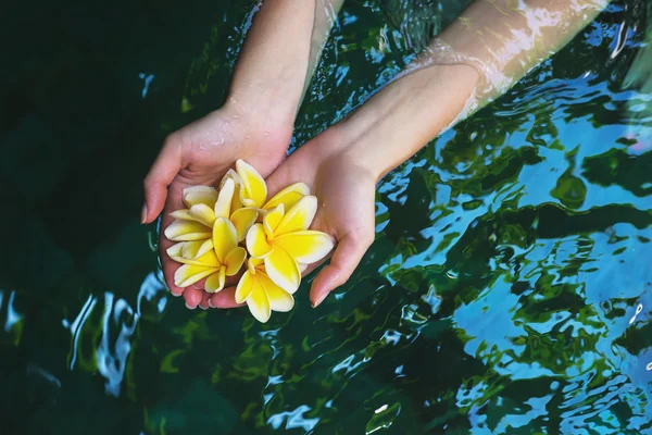 Wellness young beautiful girl holding tropical flowers frangipani on clean water in the pool.