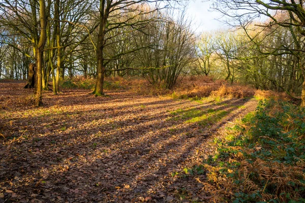 Sankey Canal Der Sankey Canal Nordwesten Englands Verbindet Helens Mit — Stockfoto