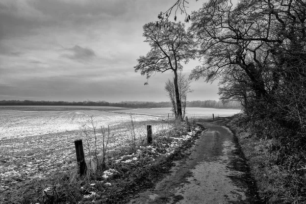 Carr Mill Dam Stunningly Beautiful Area Easy Travel Links Liverpool — Stock Photo, Image