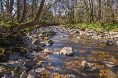 Ease Gill Kirk, Yorkshire Dales 'deki en atmosferik yerlerden biridir. Leck Beck ile birleşmeden önce Ease Gill 'in alt ucuna doğru bulunan dik kenarlı bir kireçtaşı vadisidir..