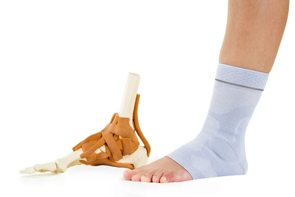 Pé humano na cinta de tornozelo e modelo esquelético — Fotografia de Stock