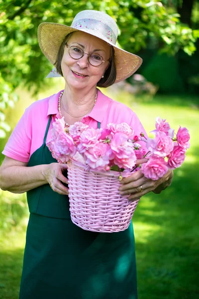 Jardineiro segurando cesta de rosas — Fotografia de Stock