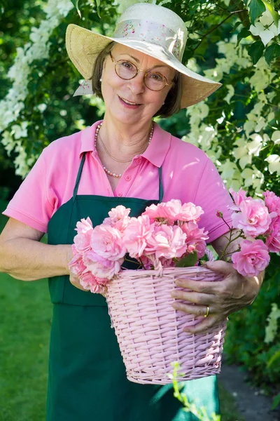 Jardinier tenant panier de roses — Photo