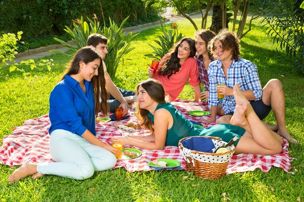 Vänner ha picknick — Stockfoto