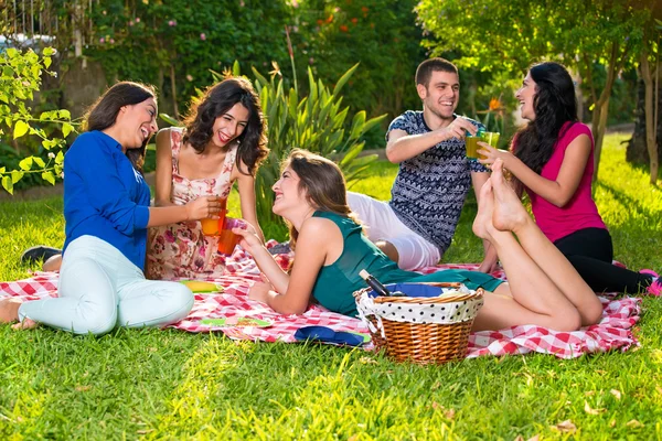 Friends having drinks in the park. — Stock Photo, Image