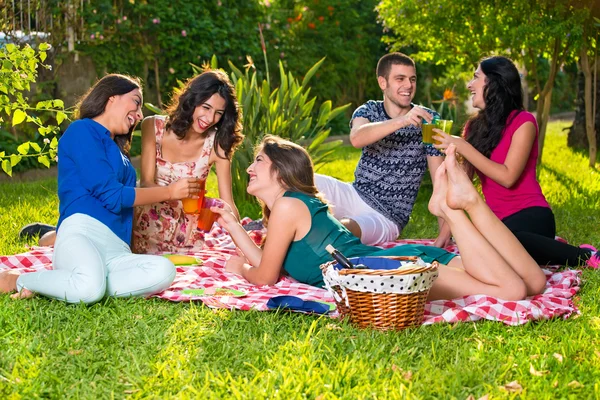 Amigos tomando bebidas en el parque . — Foto de Stock