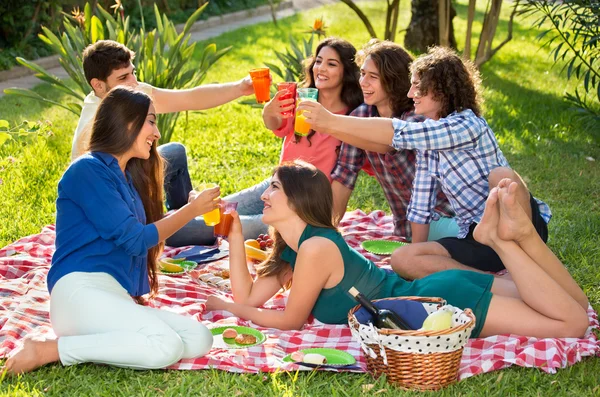 Sex vänner har picknick — Stockfoto