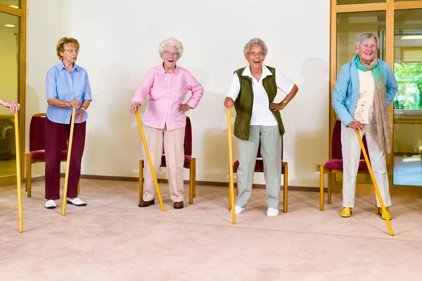 Vrouwelijke gepensioneerden met stokken — Stockfoto