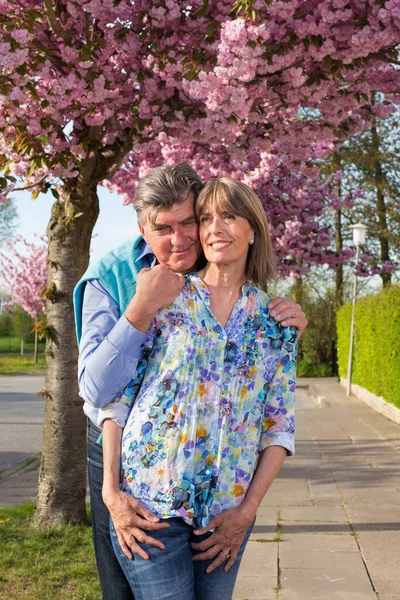 木々に覆われたピンクの春の花に覆われた木の前でポーズをとるシニアカップルを愛し カメラで笑顔を受け入れる近くの通りに並ぶ — ストック写真