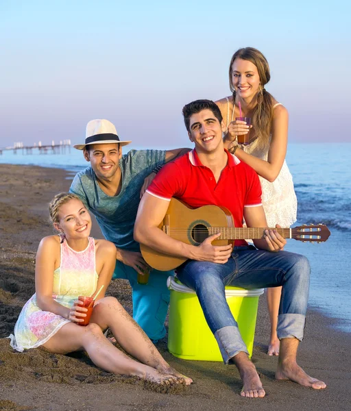 Friends having party on beach — Stock Photo, Image