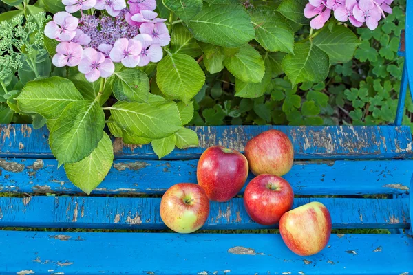 Fresh apples on the wooden bench