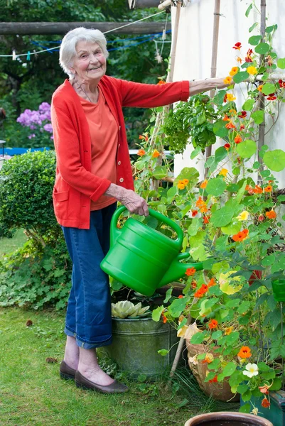 Mujer mayor riego flores en el jardín — Foto de Stock