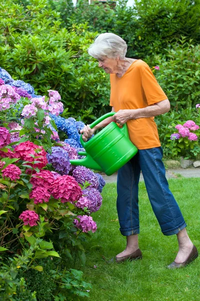 Senior woman watering flowers in garden — Stock Photo, Image