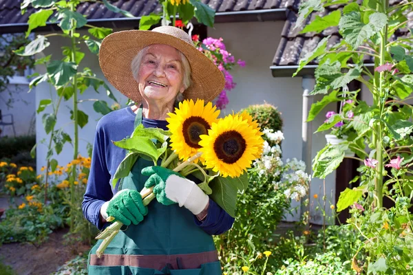 Senior vrouw bedrijf zonnebloemen — Stockfoto