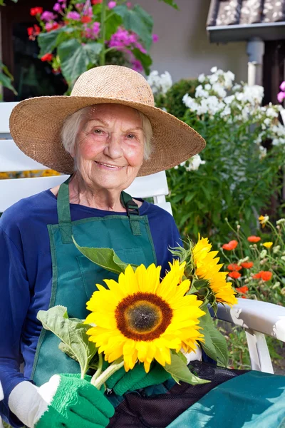 Senior vrouw op stoel bedrijf zonnebloemen — Stockfoto