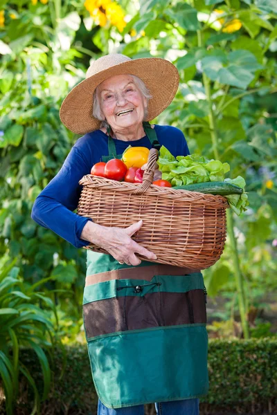 Старшая женщина с корзиной овощей в саду — стоковое фото