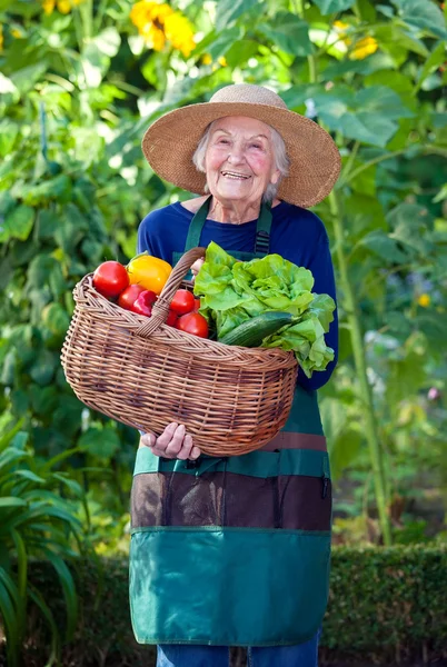 Senior vrouw met mandje met groenten bij tuin — Stockfoto