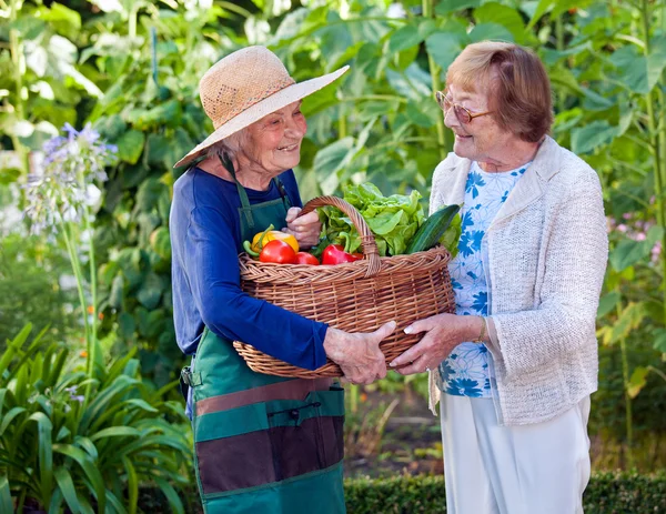 Oudere vrouwen houden mand van groenten — Stockfoto