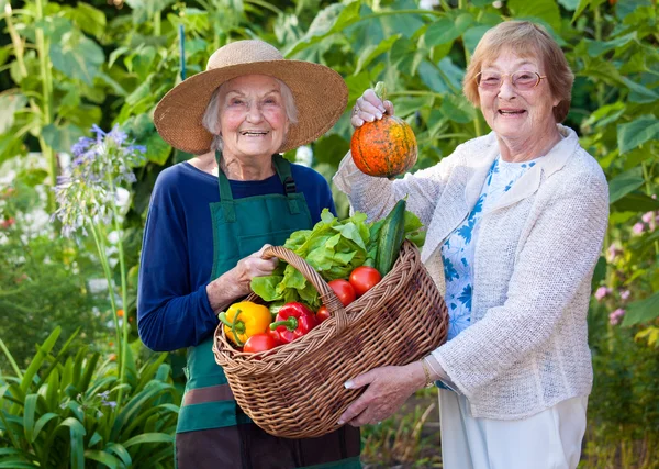 Senior vrouwen tonen groenten — Stockfoto