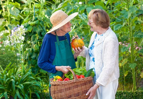 Senior Ladies Chatting at Farm — Stock Photo, Image