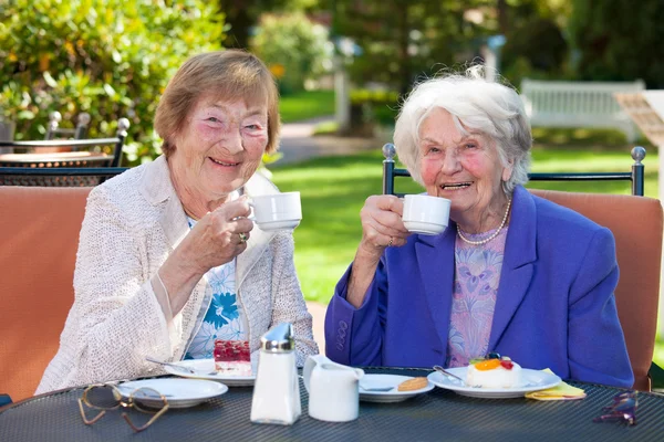 Senior Women Relaxing at Garden Table Stock Photo