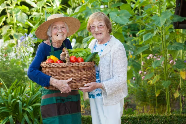 Las mujeres mayores de la celebración de la cesta de verduras Fotos de stock