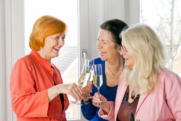 Donne Bicchieri da Tossing di Vino — Foto Stock