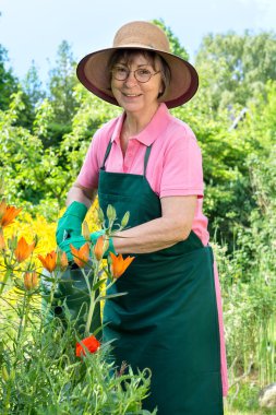 kadın kıdemli sulama çiçekler