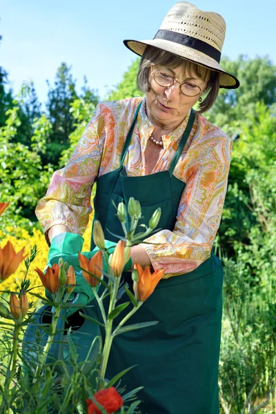 Senior femme arrosage fleurs — Photo