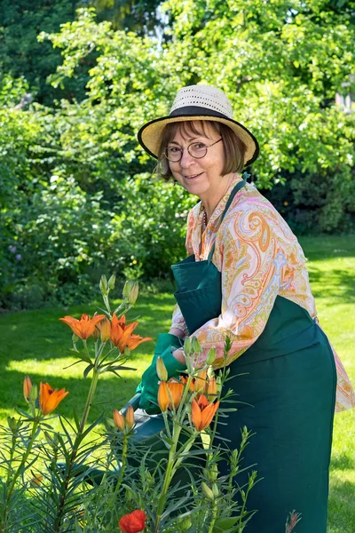 Senior femme arrosage fleurs — Photo