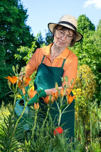 Starší žena zalévání květin — Stock fotografie
