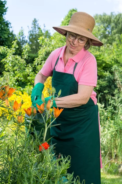 Äldre kvinna vattning blommor — Stockfoto