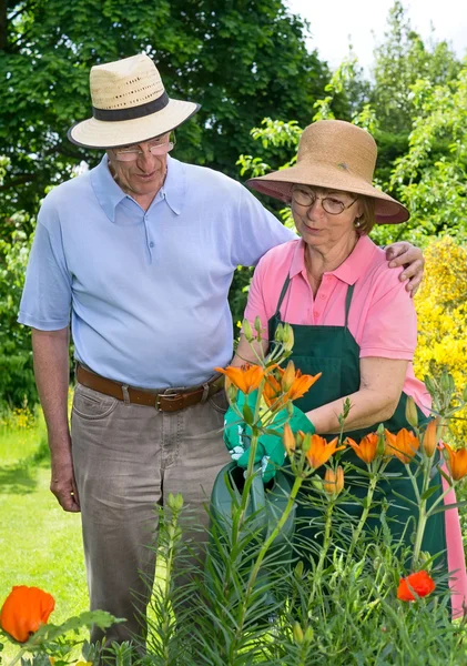 Man and woman Watering  Flowers — Stock Photo, Image
