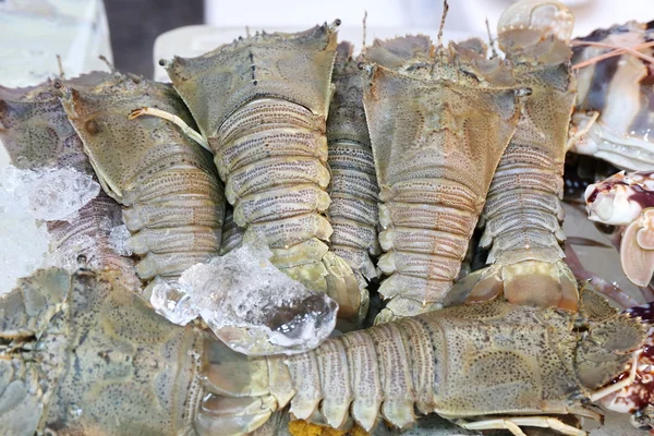 Rauwe Bidsprinkhaan Markt Zeevruchten — Stockfoto