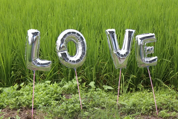 Silver Love Text Grass Field — Stock Photo, Image
