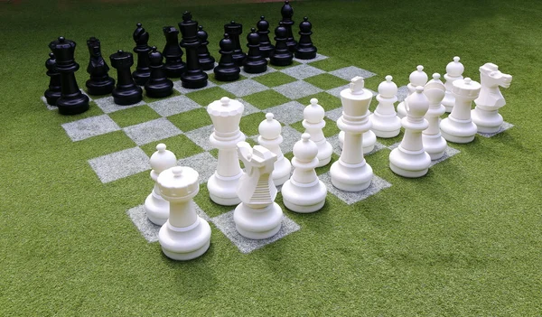 Chessboard Chess Pieces Grass Garden — Stock Photo, Image