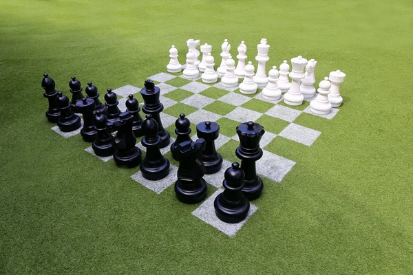 Chessboard Chess Pieces Grass Garden — Stock Photo, Image