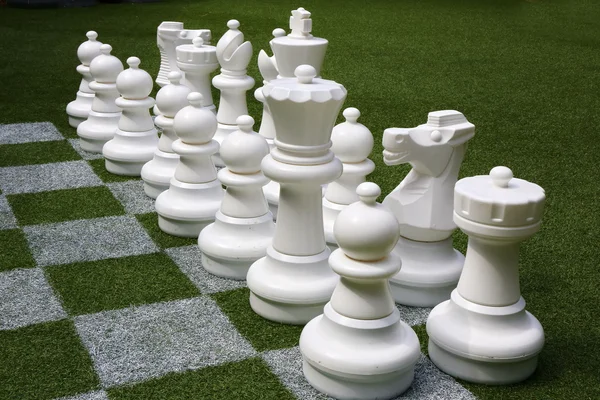 Chessboard Chess Pieces Grass Garden — Stock Photo, Image