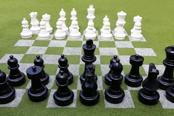 Chessboard Chess Pieces Grass Garden — Stock Photo, Image