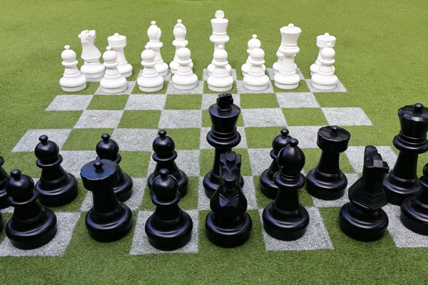 Chessboard Chess Pieces Grass Garden — Stock Photo, Image