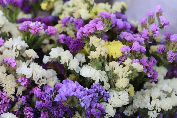 Färgglada Torr Blomma Bakgrund — Stockfoto