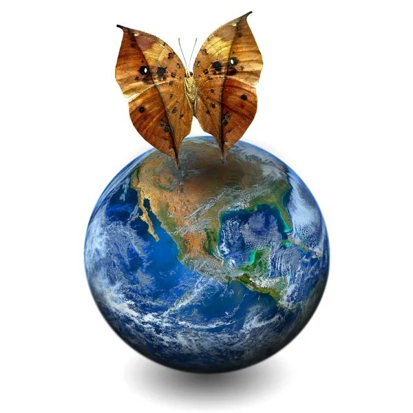 Ziemska Planeta Motylem Tym Elementy Dostarczone Przez Nasa — Zdjęcie stockowe