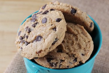 Kovada çikolatalı kurabiye.