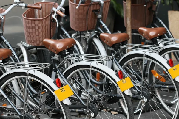 ビンテージ自転車公園内 — ストック写真