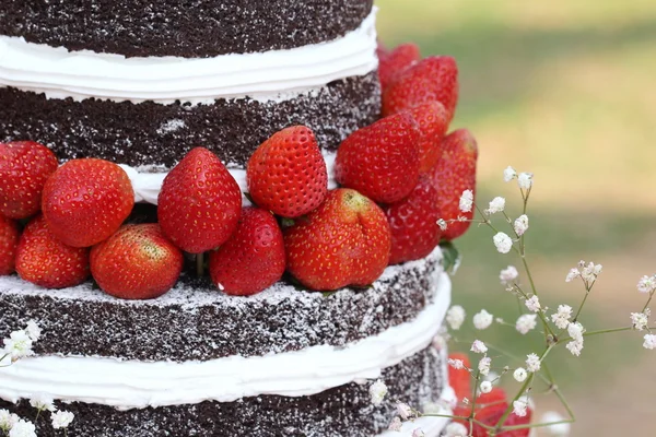 Truskawki na świeżym powietrzu, tort czekoladowy tort weselny — Zdjęcie stockowe