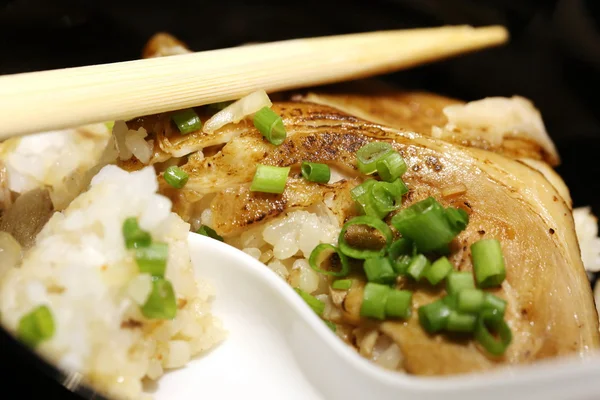 Gegrilde Varkensvlees Met Rijst Traditioneel Japans Eten — Stockfoto