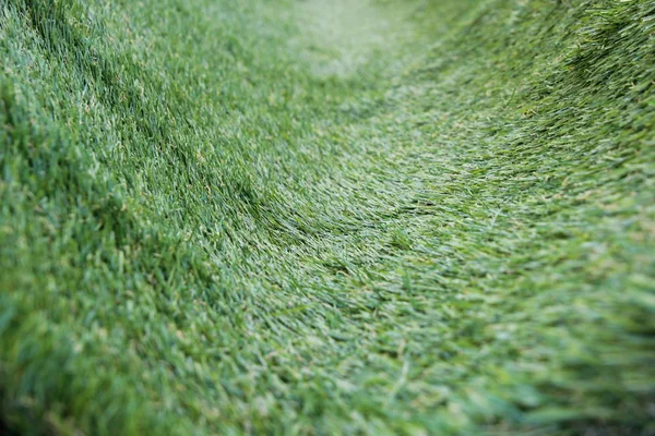 Kurve Grünes Gras Feld Hintergrund — Stockfoto