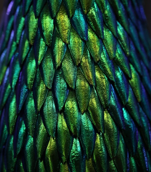 Closeup Groene Kever Vleugel Achtergrond — Stockfoto